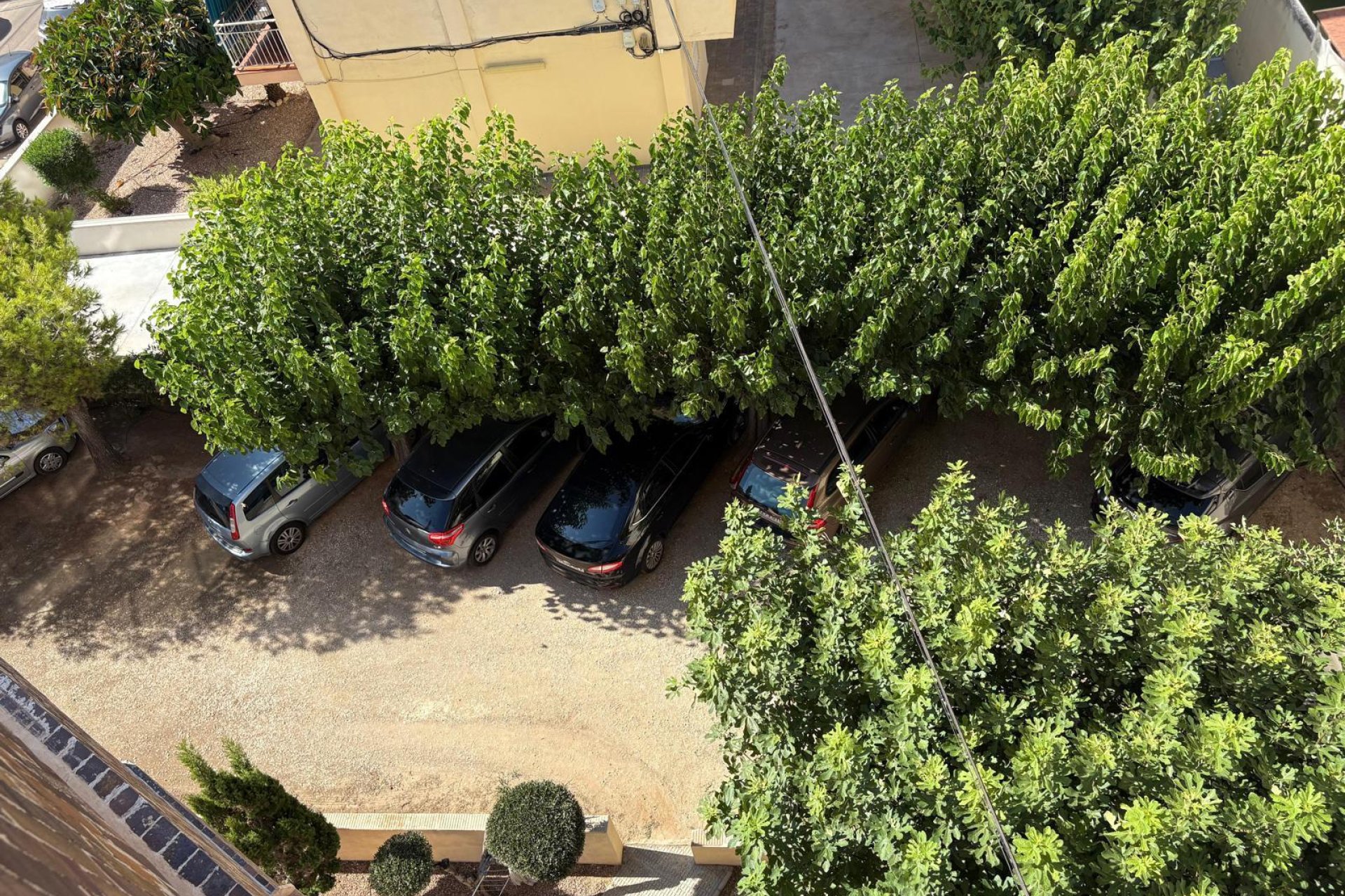 Resale - Apartment - Torrevieja - La Mata