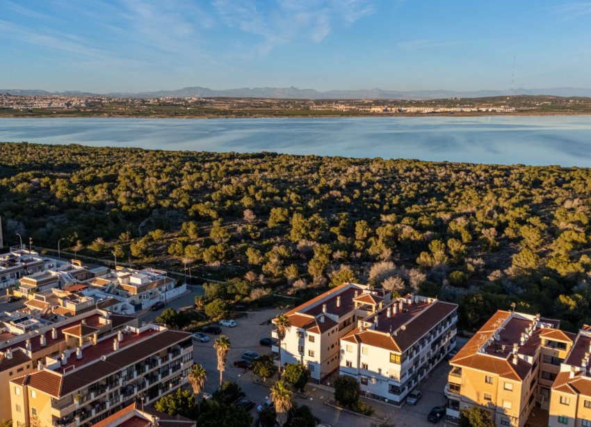 Resale - Apartment - Torrevieja - La Siesta