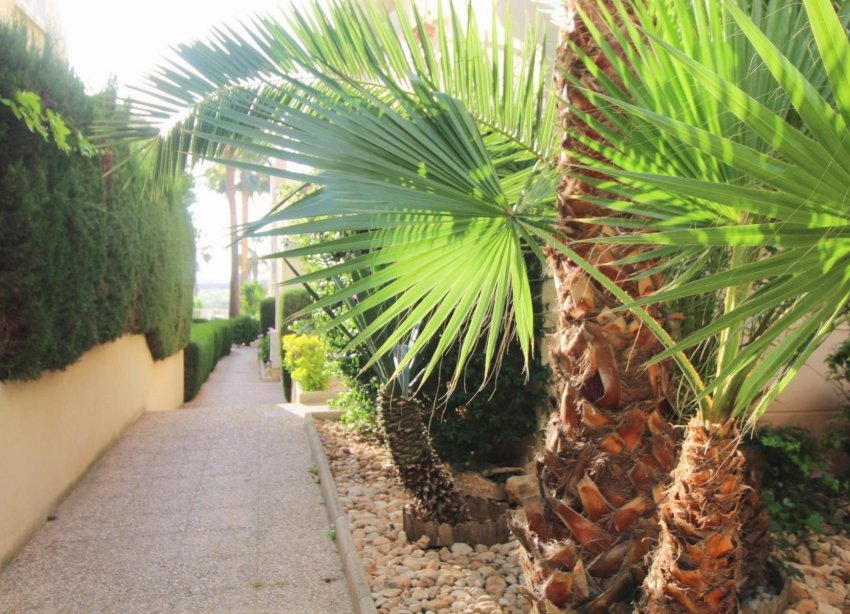 Resale - Apartment - Torrevieja - La Veleta