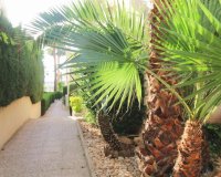 Resale - Apartment - Torrevieja - La Veleta