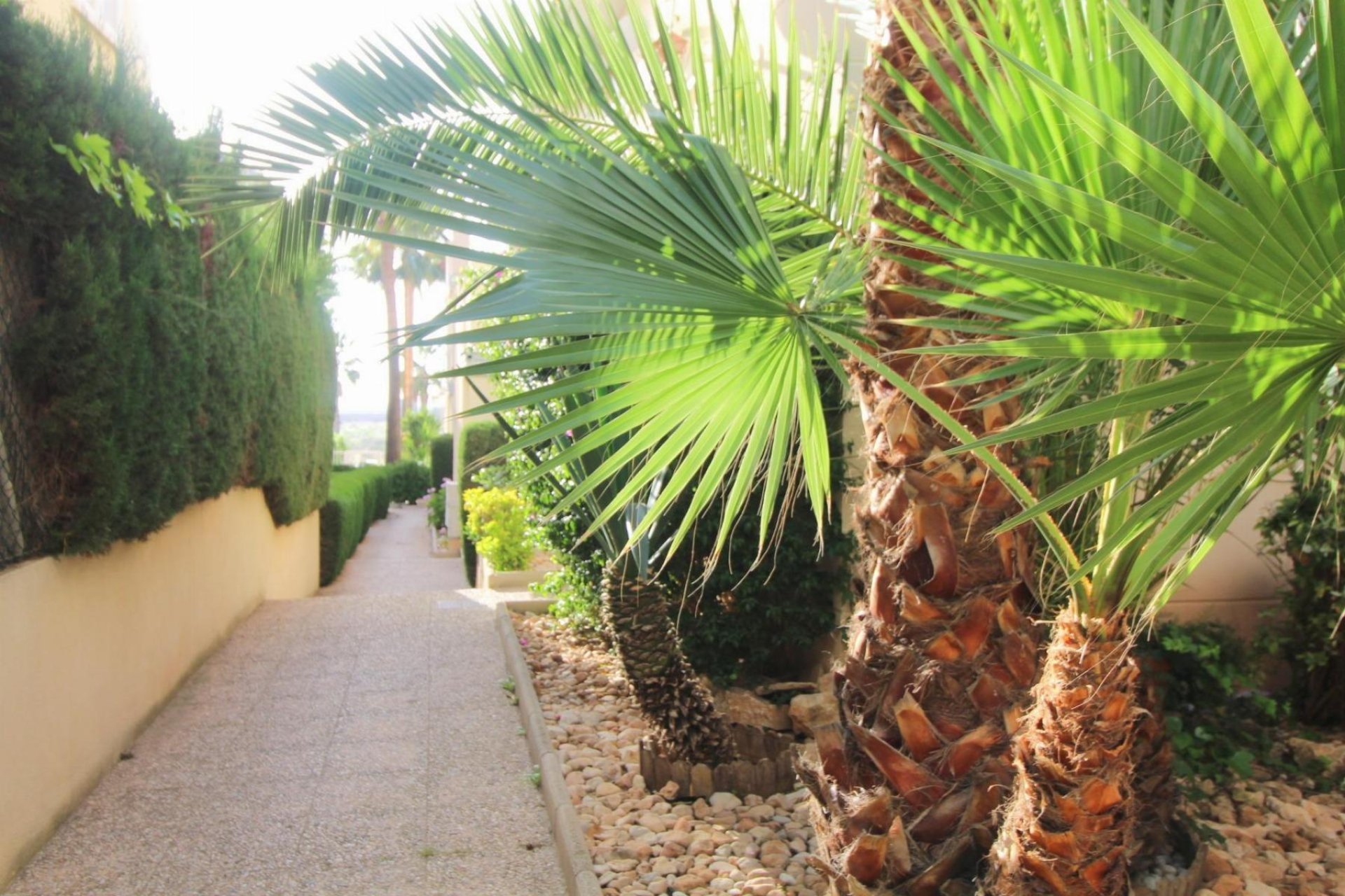 Resale - Apartment - Torrevieja - La Veleta