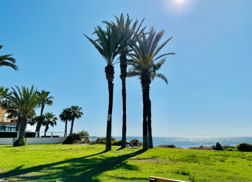 Resale - Apartment - Torrevieja - La Veleta