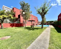 Resale - Apartment - Torrevieja - Los Altos