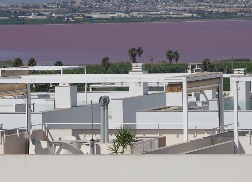 Resale - Apartment - Torrevieja - Los Balcones