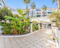 Resale - Apartment - Torrevieja - Los Europeos