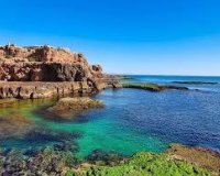 Resale - Apartment - Torrevieja - Los Frutales