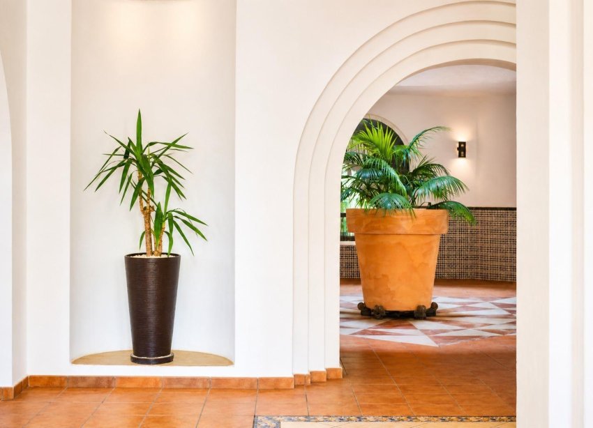 Resale - Apartment - Torrevieja - Los Frutales