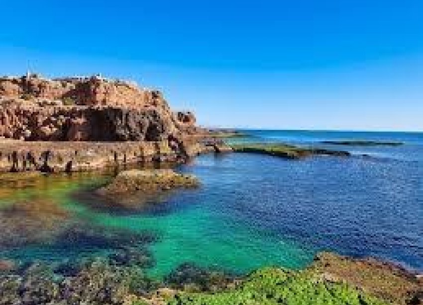 Resale - Apartment - Torrevieja - Los Frutales