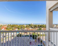 Resale - Apartment - Torrevieja - Nueva Torrevieja