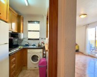 Resale - Apartment - Torrevieja - Parque de Las Naciones