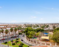 Resale - Apartment - Torrevieja - Parque las naciones