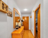 Resale - Apartment - Torrevieja - Paseo maritimo
