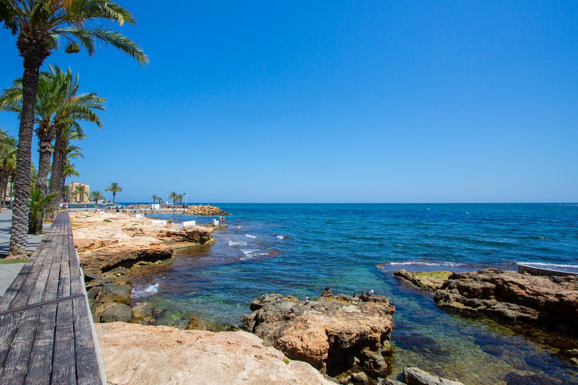 Resale - Apartment - Torrevieja - Playa de los Locos