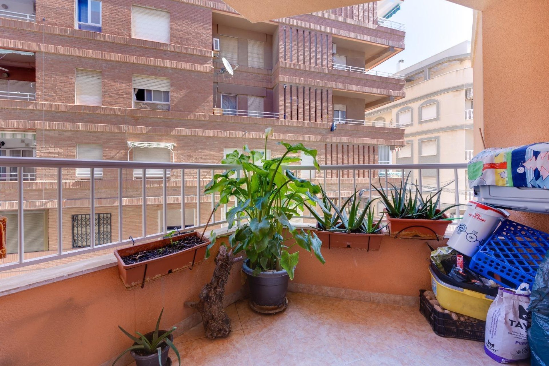 Resale - Apartment - Torrevieja - Playa de los locos