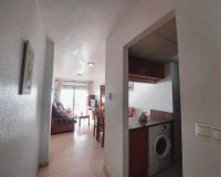 Resale - Apartment - Torrevieja - Playa de los Locos