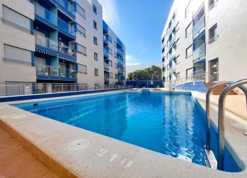 Resale - Apartment - Torrevieja - Playa de los Locos