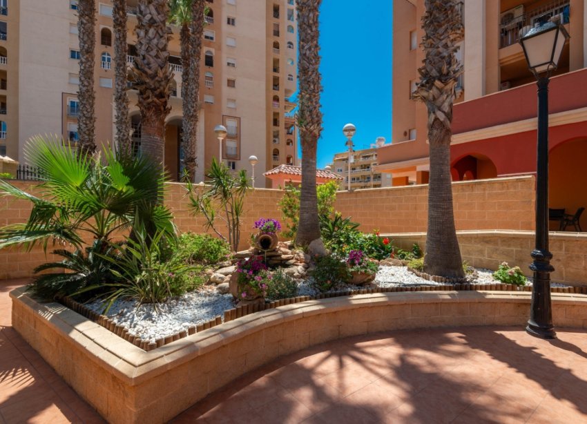 Resale - Apartment - Torrevieja - Playa de los locos