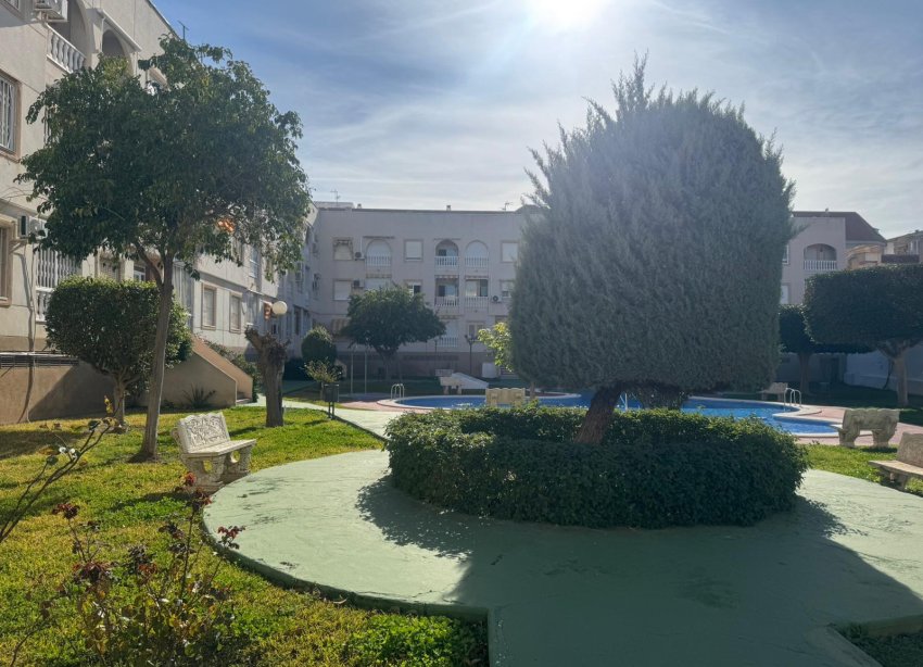 Resale - Apartment - Torrevieja - Playa del Acequión