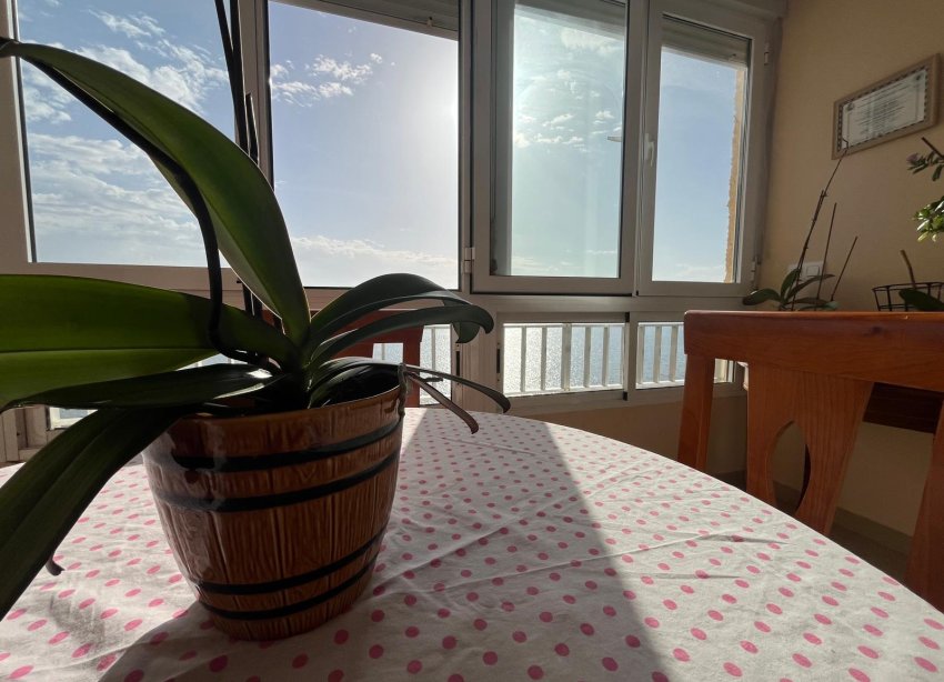 Resale - Apartment - Torrevieja - Playa del cura