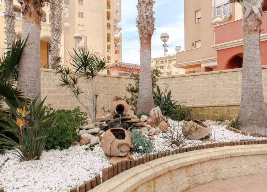 Resale - Apartment - Torrevieja - Playa Los Locos