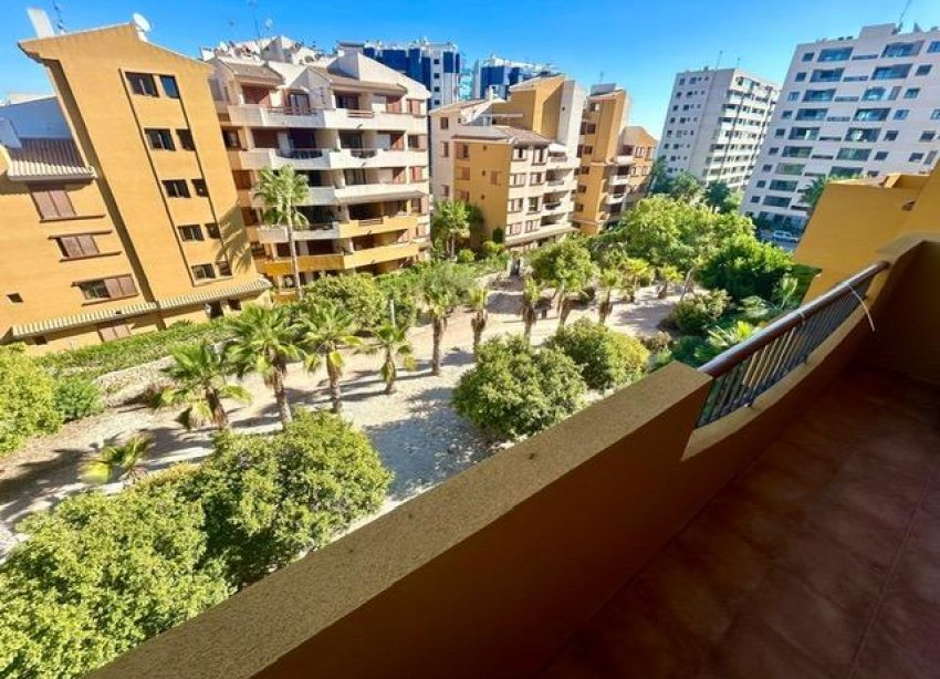 Resale - Apartment - Torrevieja - Punta prima