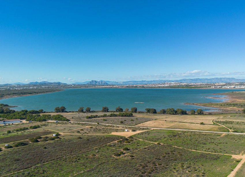 Resale - Apartment - Torrevieja - Torrelamata - La Mata