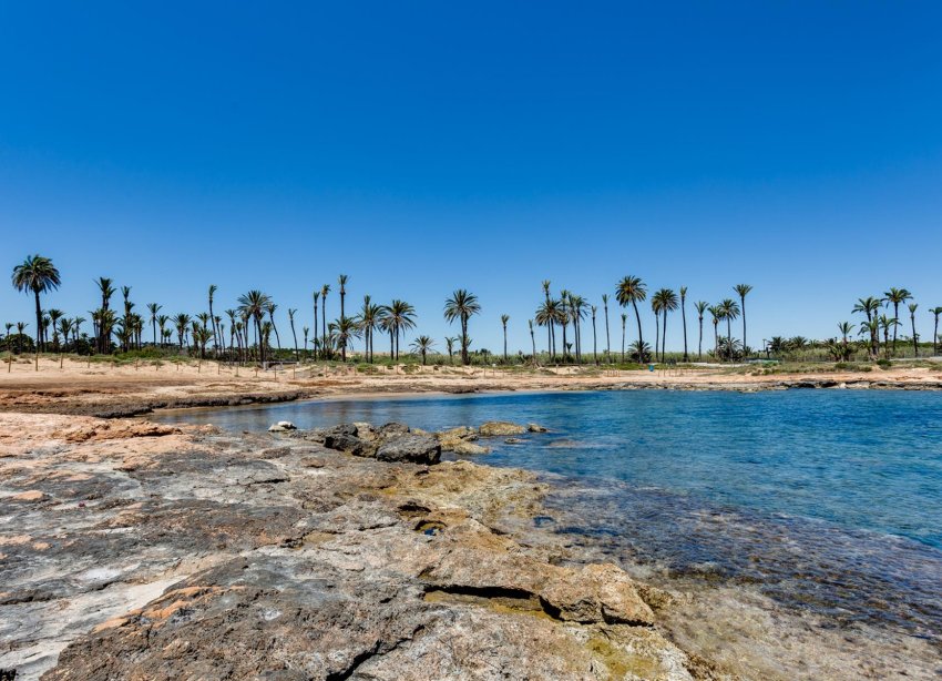 Resale - Apartment - Torrevieja