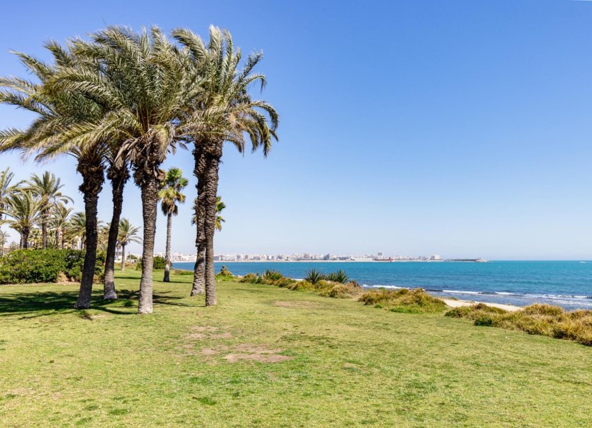 Resale - Apartment - Torrevieja
