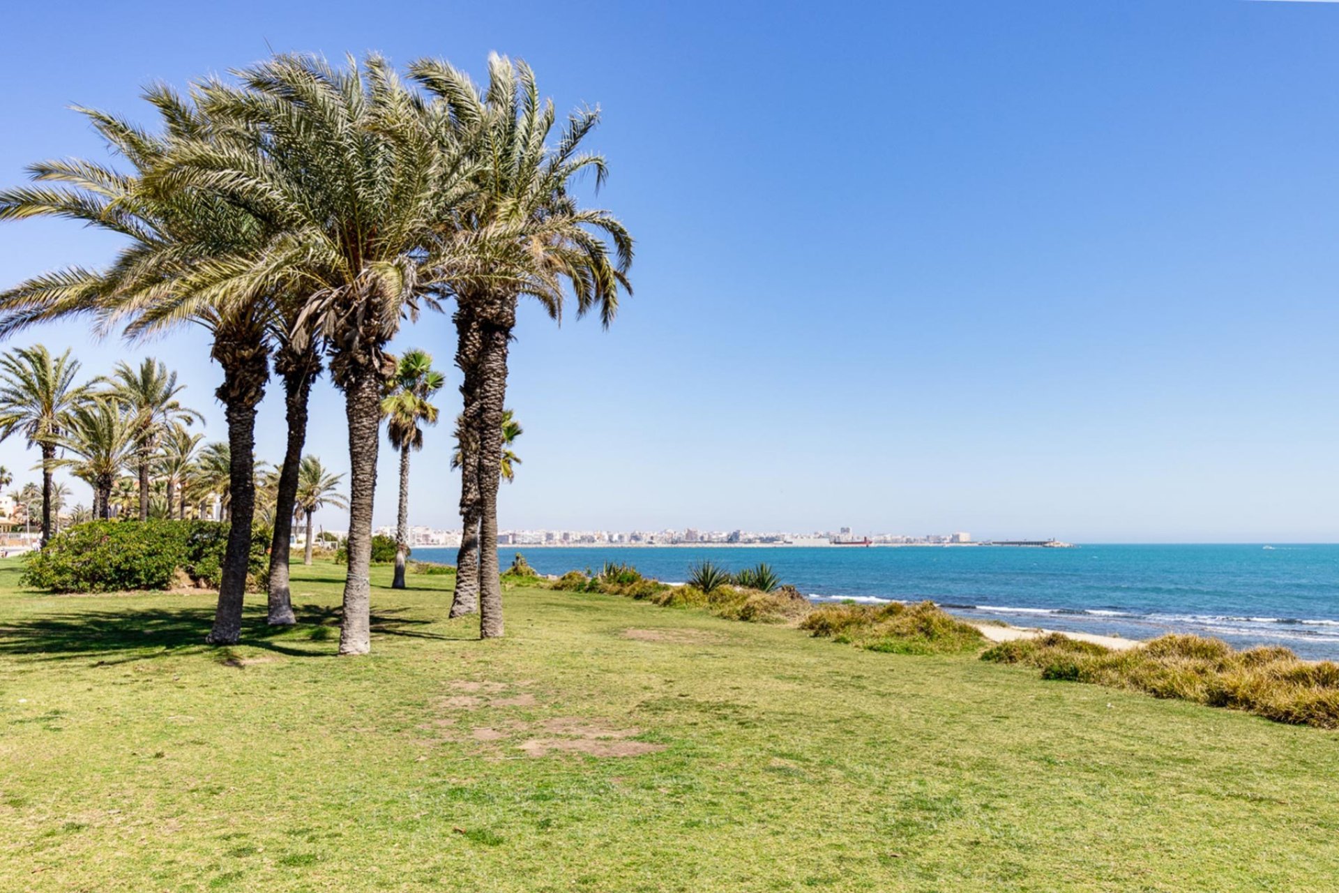 Resale - Apartment - Torrevieja