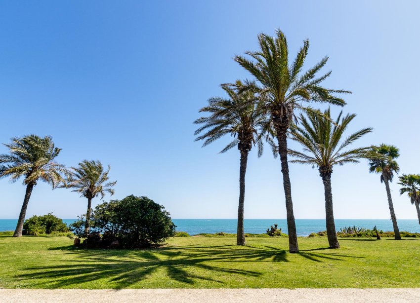 Resale - Apartment - Torrevieja