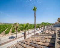 Resale - Bungalow - Algorfa