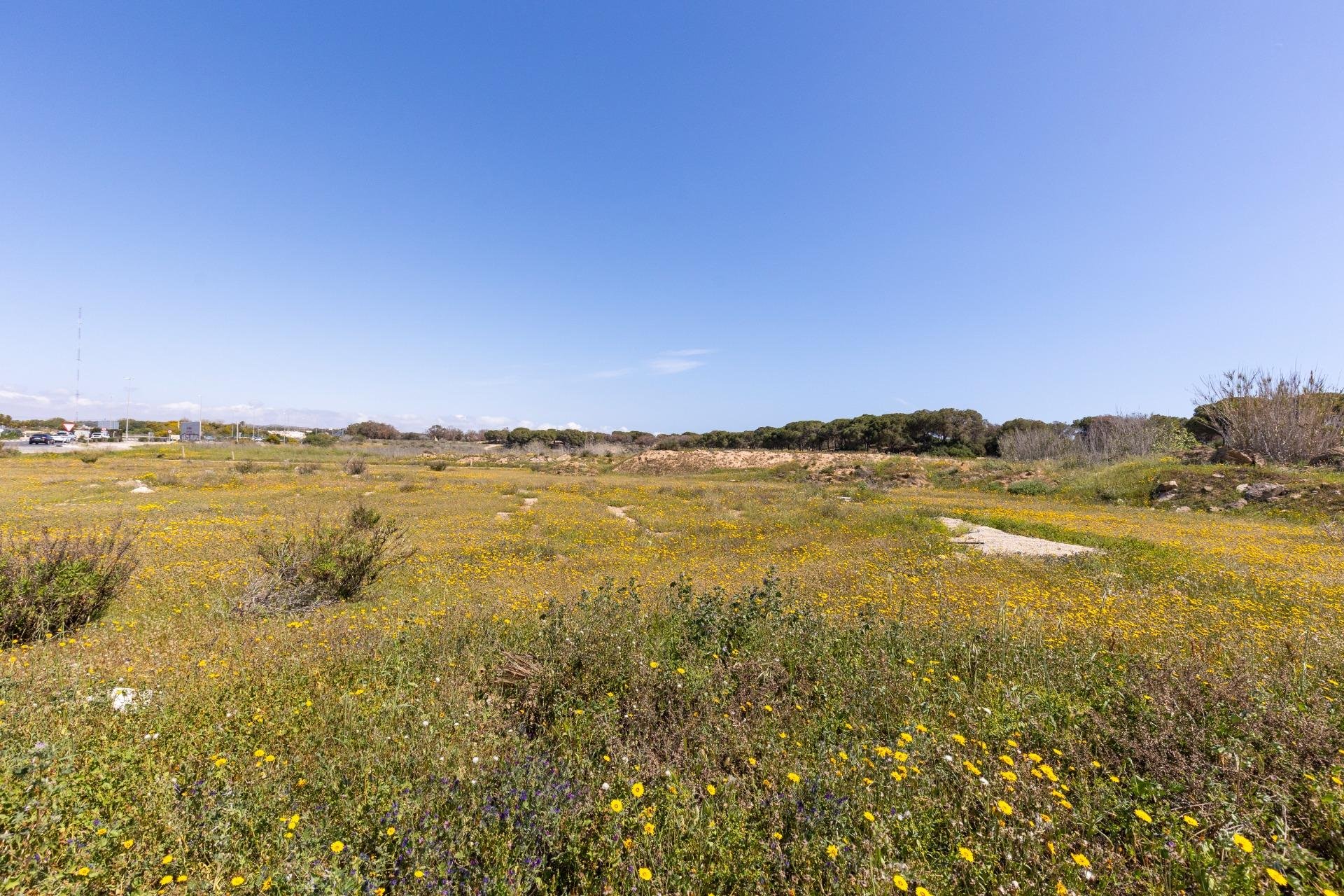 Resale - Bungalow - Guardamar del Segura - Urbanizaciones