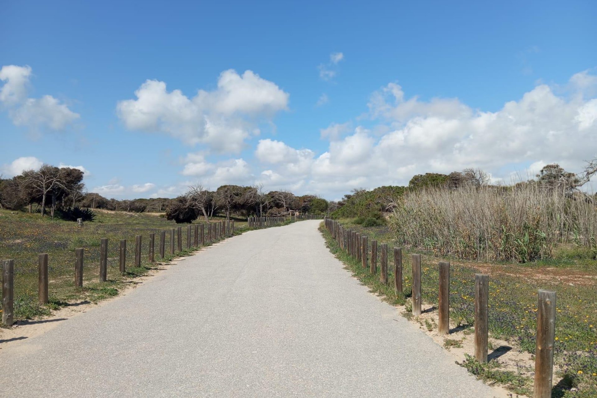 Resale - Bungalow - Guardamar del Segura - Urbanizaciones