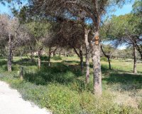 Resale - Bungalow - Guardamar del Segura - Urbanizaciones