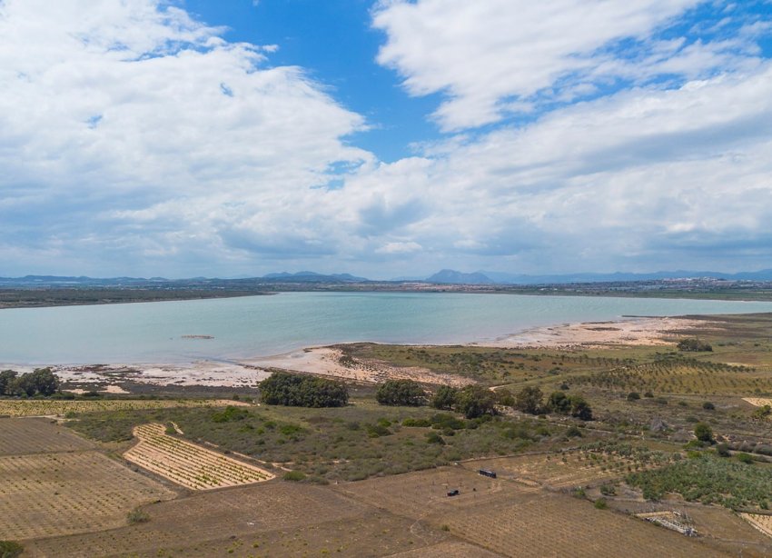 Resale - Bungalow - La Mata - Playa