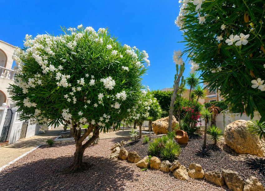 Resale - Bungalow - La Mata