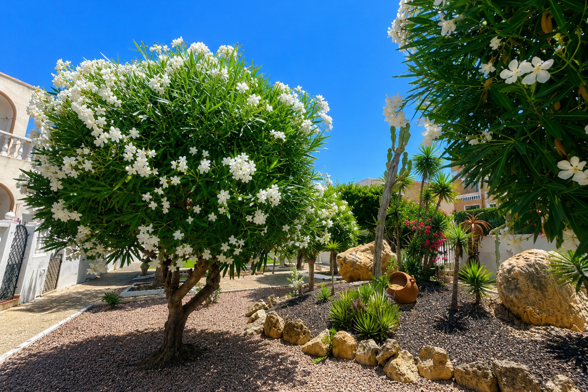 Resale - Bungalow - La Mata