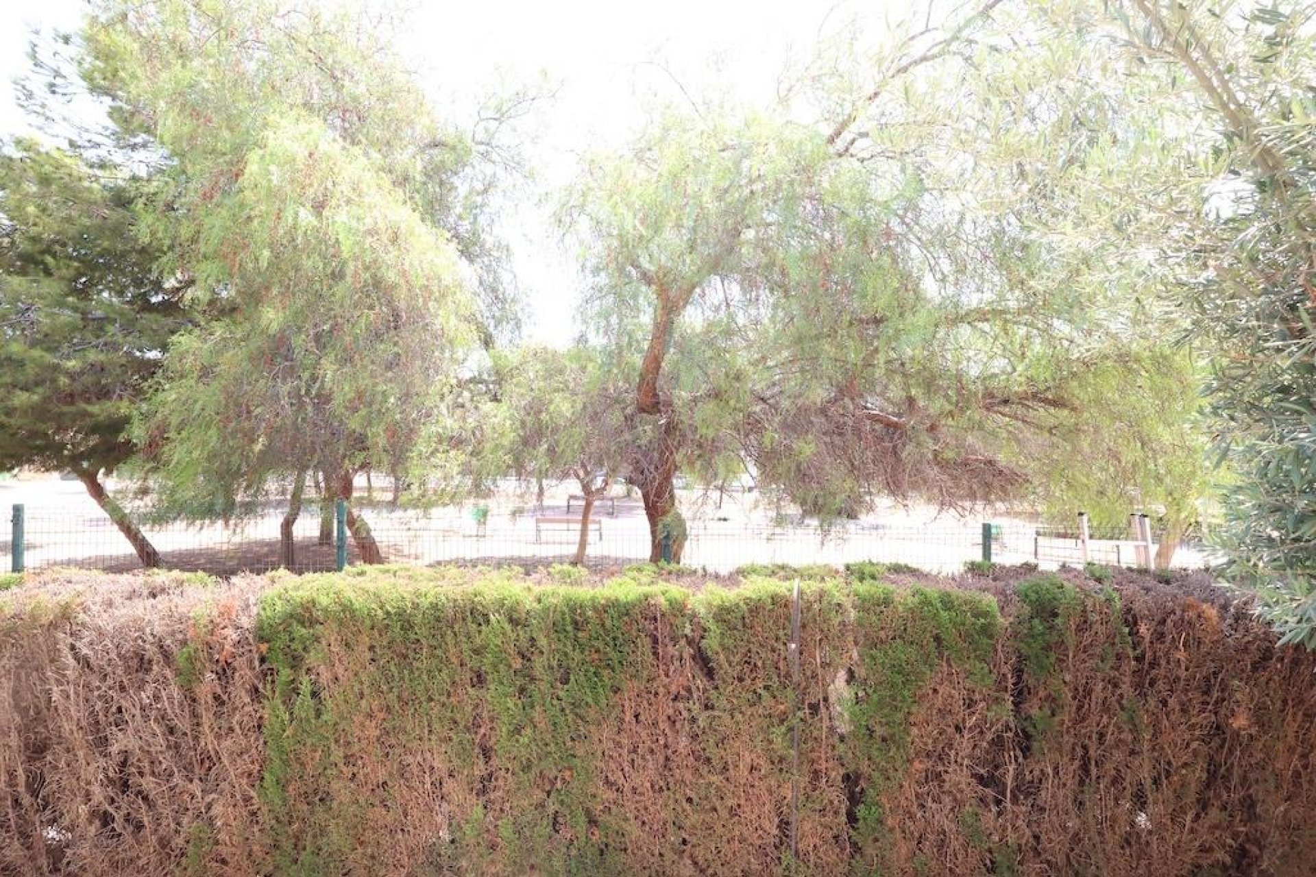 Resale - Bungalow - Orihuela Costa - Punta Prima