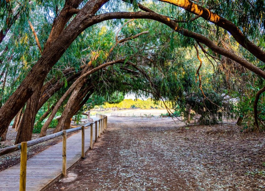 Resale - Bungalow - Torrevieja - El chaparral