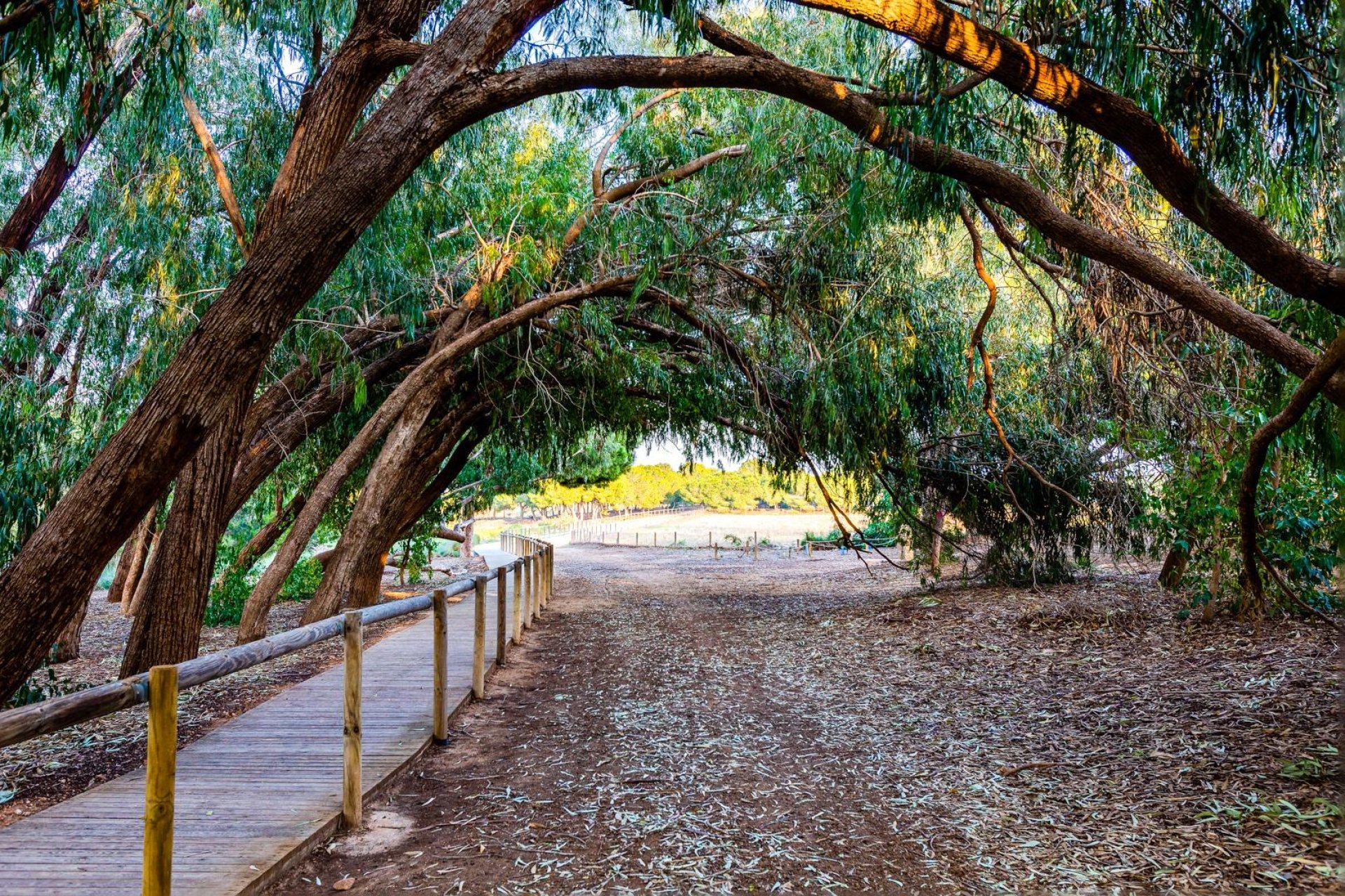 Resale - Bungalow - Torrevieja - El chaparral