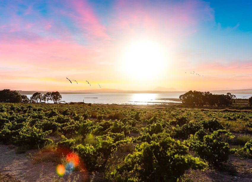 Resale - Bungalow - Torrevieja - El chaparral