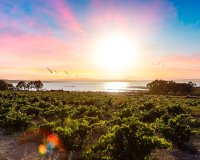 Resale - Bungalow - Torrevieja - El chaparral