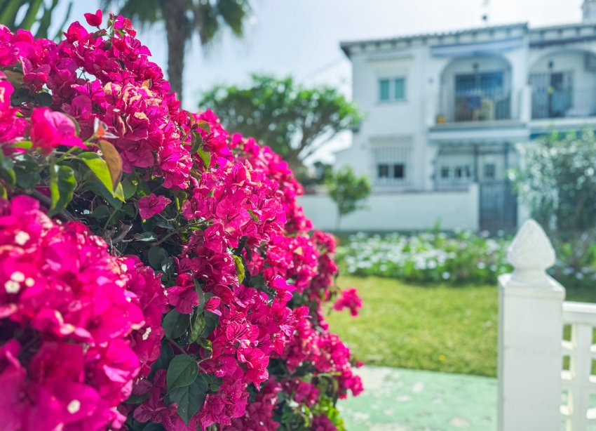 Resale - Bungalow - Torrevieja - Lago Jardin