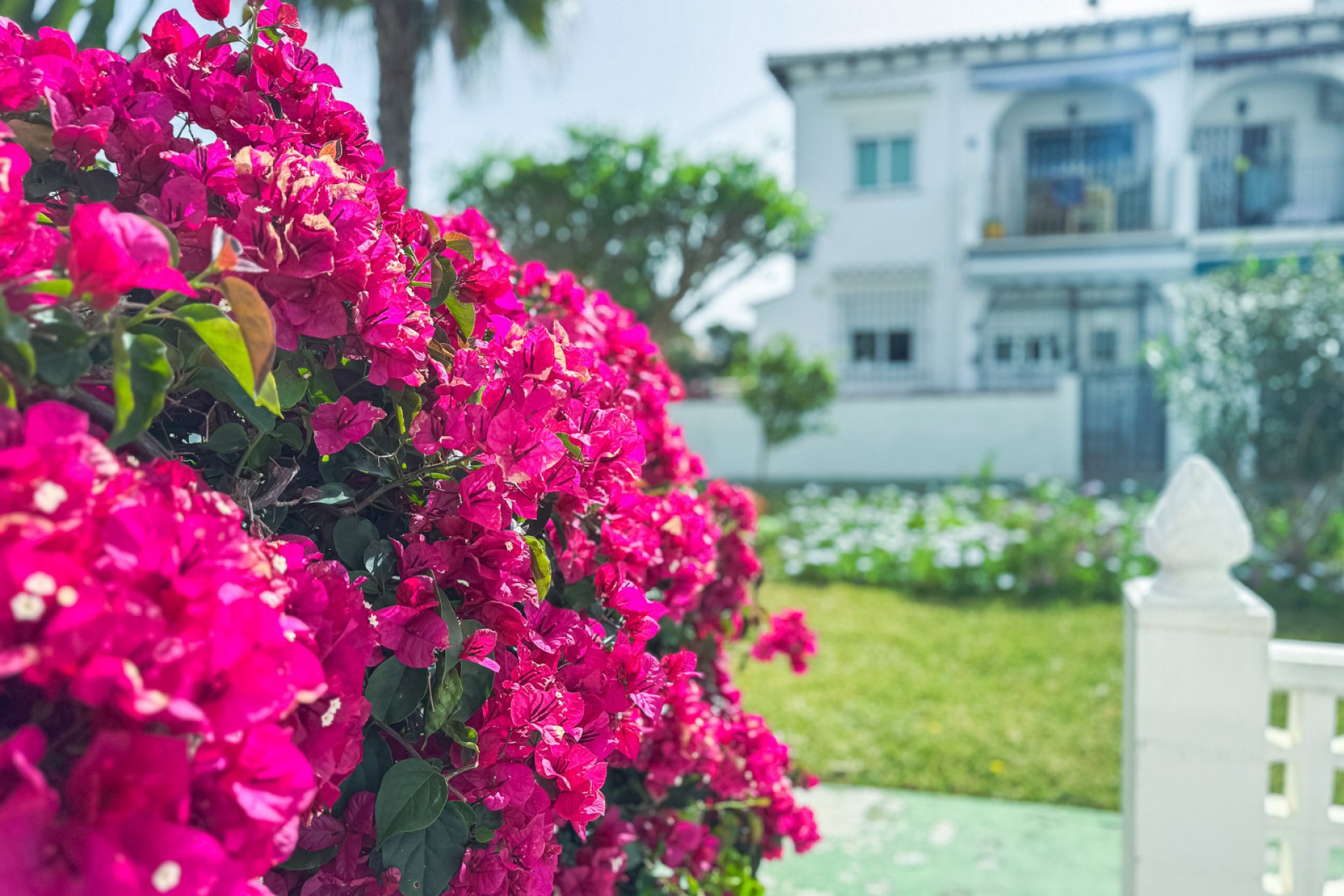 Resale - Bungalow - Torrevieja - Lago Jardin