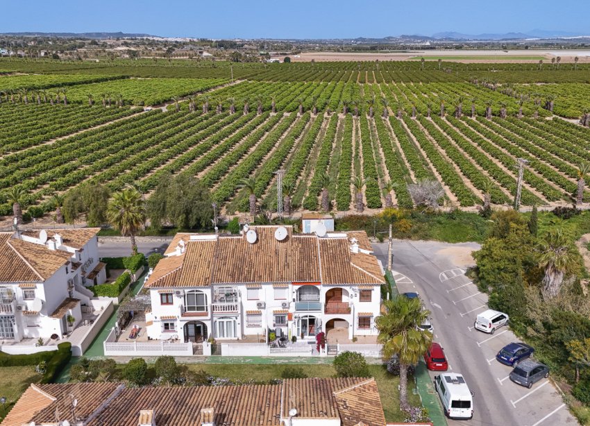 Resale - Bungalow - Torrevieja - Lago Jardin