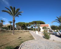 Resale - Bungalow - Torrevieja - Los Balcones