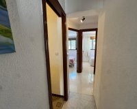 Resale - Bungalow - Torrevieja - Playa de los Naufragos