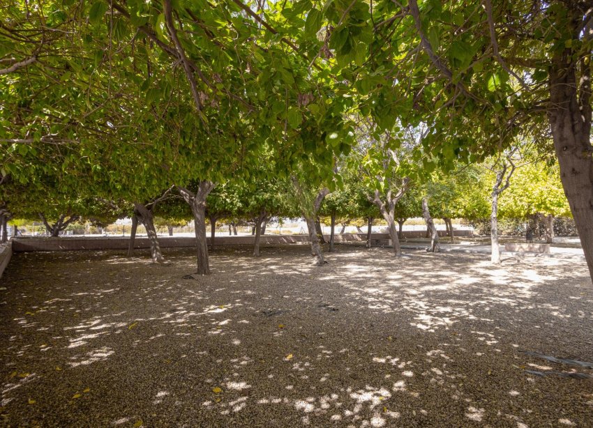 Resale - Bungalow - Torrevieja - Playa de los Naufragos