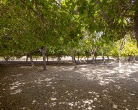 Resale - Bungalow - Torrevieja - Playa de los Naufragos