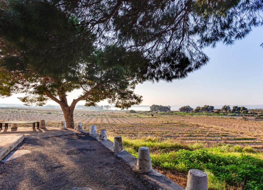 Resale - Bungalow - Torrevieja - San luis